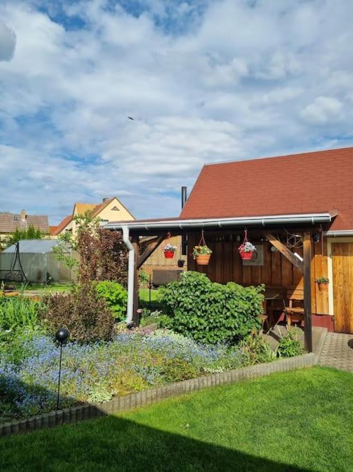 Ferienwohnung *Zur Weinbergstrasse* Lauta Exterior foto